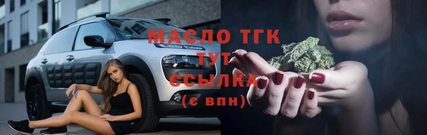 гидра Арсеньев