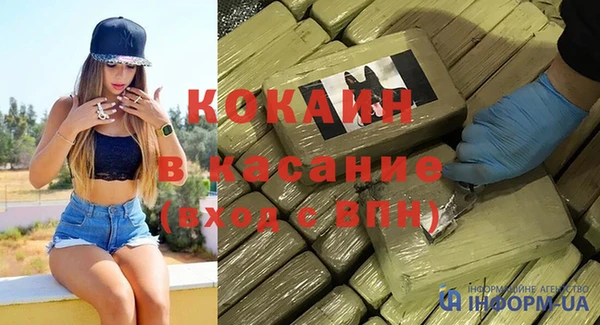 гидра Арсеньев