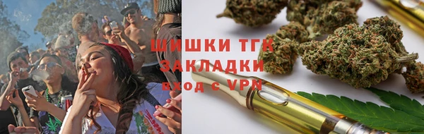 молекула духа Снежногорск