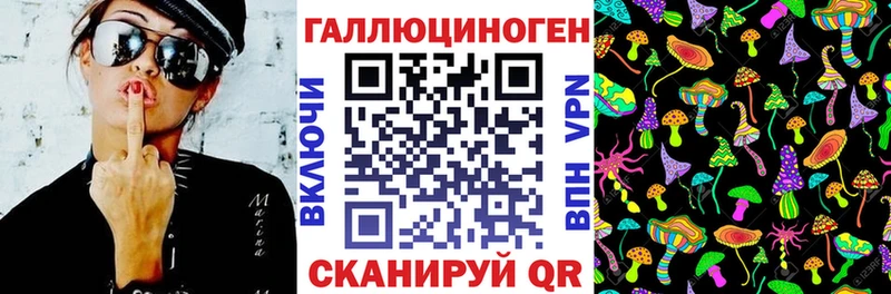 Галлюциногенные грибы GOLDEN TEACHER  omg вход  Ахтубинск  shop как зайти  купить наркоту 