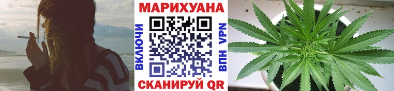 Шишки марихуана конопля даркнет сайт дарк нет наркотические препараты Ахтубинск